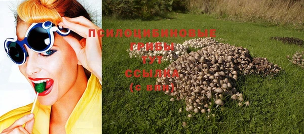 a pvp Заволжье