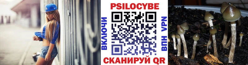 наркошоп Сургут Псилоцибиновые грибы MAGIC MUSHROOMS